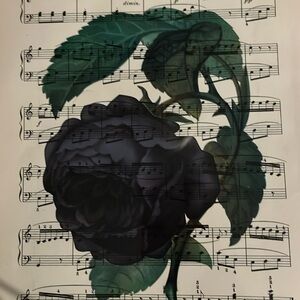 Black Rose Graphic Print - 8” X 11”